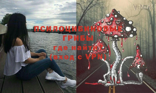 трава Беломорск