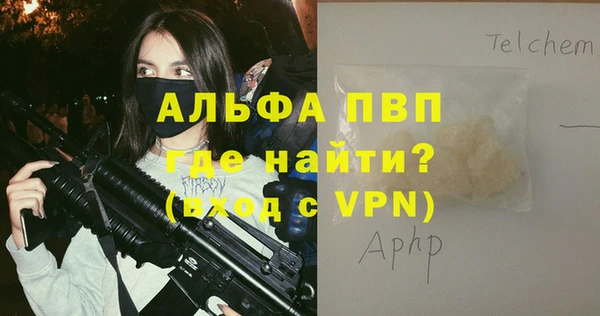 PSILOCYBIN Богородск