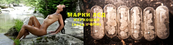 PSILOCYBIN Богородск